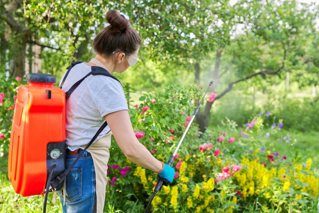 Se acaba el verano y con el otoño vuelven las peores plagas